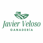 Icono Javier Veloso